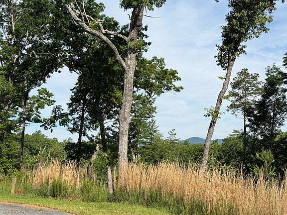 3rd image of LOT 304 Greenwood Ct
