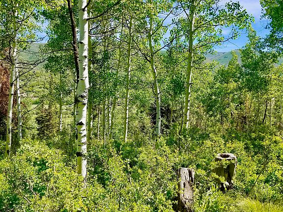 3rd image of 5813 E Uncompahgre Dr Lot 22