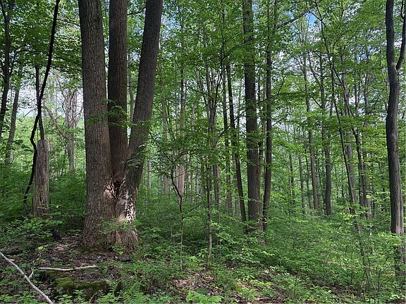 3rd image of LOT 1C Cottonwood Rd
