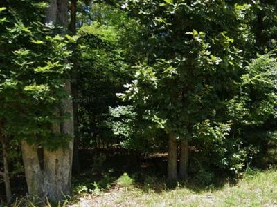 Lots 96 97 Deercrest Ln, Murray, KY, 42071