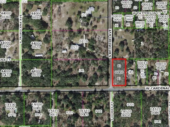 6723 S Redbird Ave, Lecanto, FL 34461