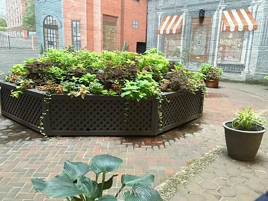 Rented by Town Residential | media 37