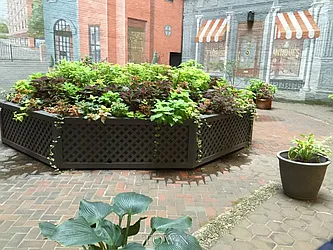 Rented by Town Residential