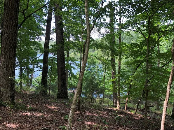 Brighton St, Bull Shoals, AR 72619