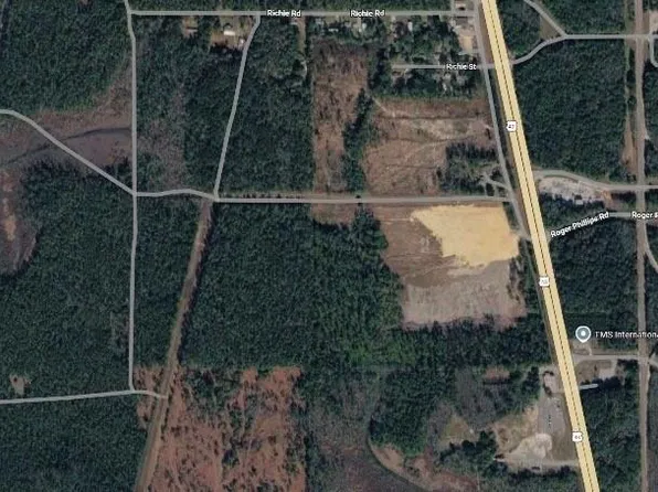 0 Richie Rd, Axis, AL 36505