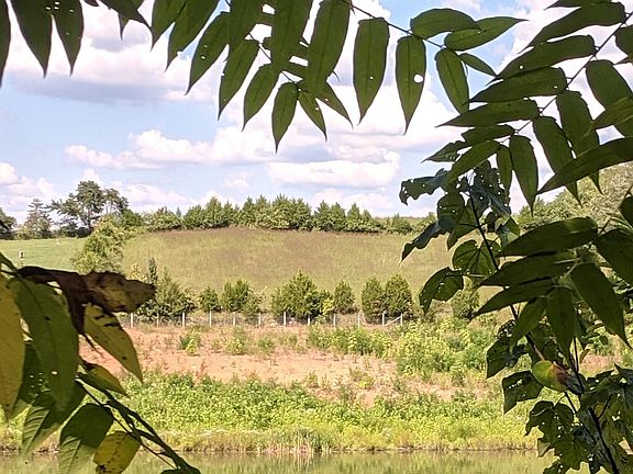 View from across lake