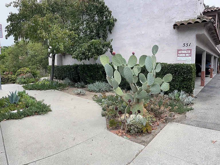 551 W Pueblo St #13 — Photo 2