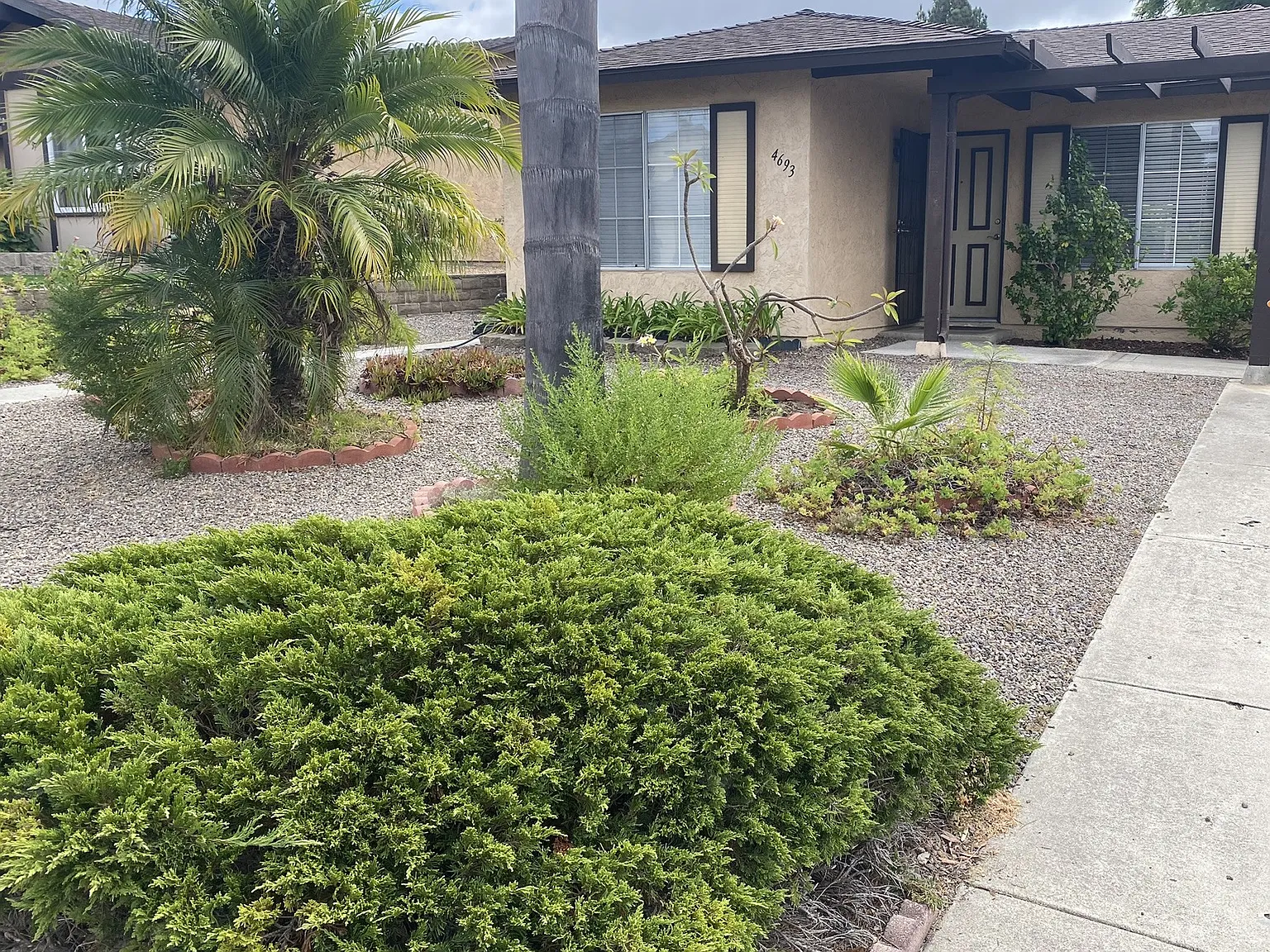 2 bed, 834 sqft, $2,800 — Photo 3