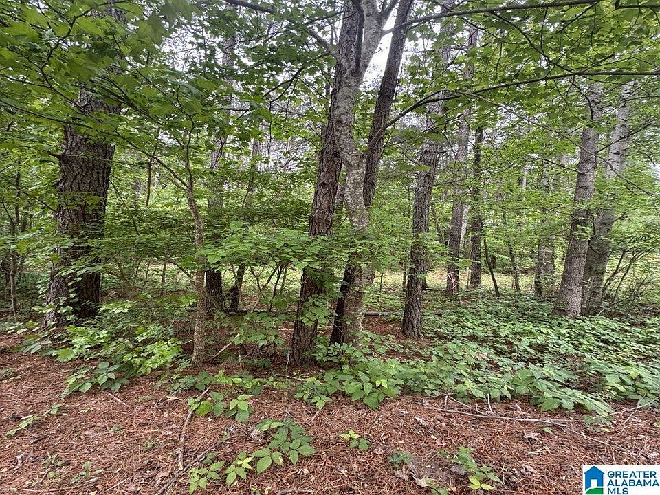 2nd image of 0 County Road 400 Lot 1