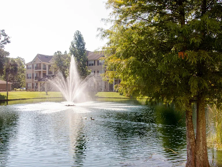 Village at Southern Oaks — Photo 6