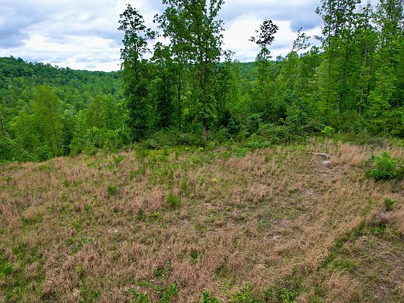 2nd image of 22 Buck Run Ridge Rd
