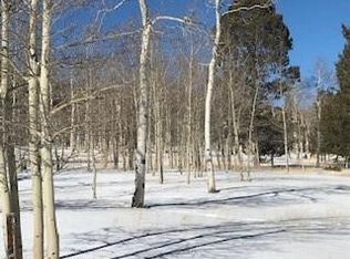 2027 Pitchfork Rd #1223, Hartsel, CO 80449