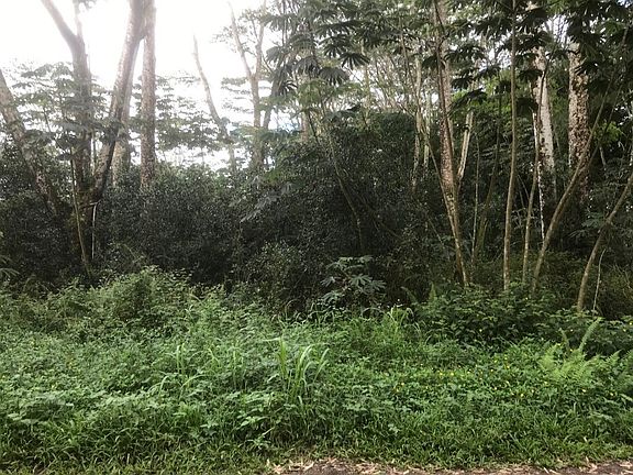 2nd image of 15th Ave Lot 389
