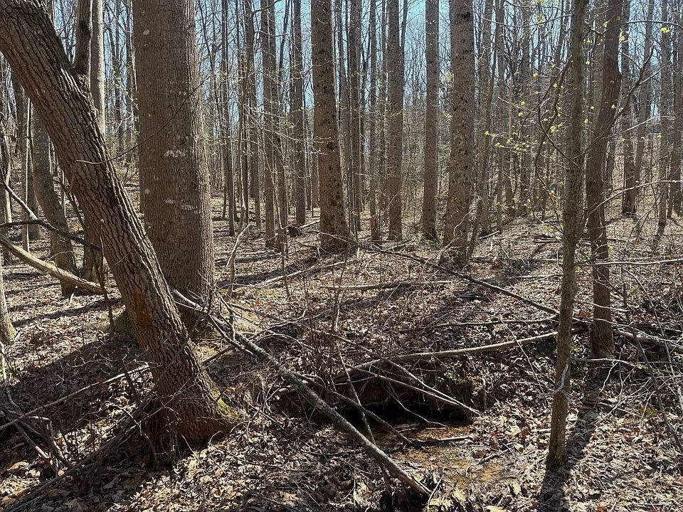 2nd image of LOT 18 County Road 166