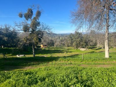 32434 Lockwood Ln, Prather, CA, 93651