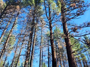 45 Lava Cap, Markleeville, CA 96120