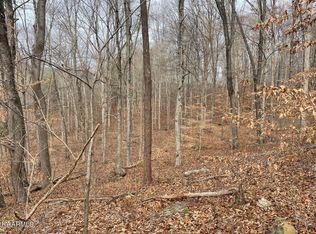 0 McMillian Rd, Rogersville, TN 37857