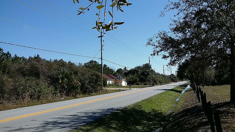 2nd image of 184 Bird Of Paradise Dr