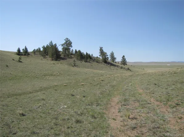 792 Kinkehee Trail, Hartsel, CO 80449