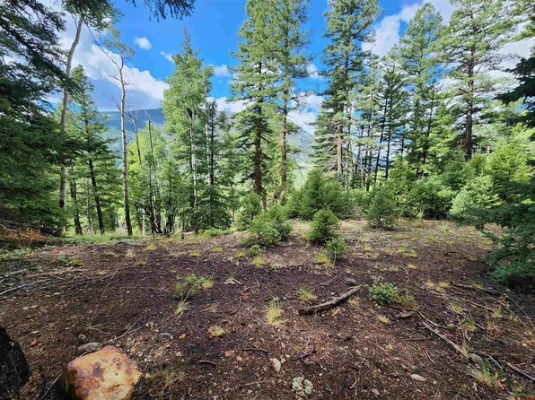 Lots 1-3 11th Street, Jasper, CO 81144