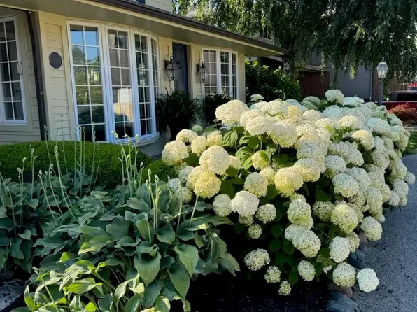 31134 Island Dr, Gibraltar, MI 48173