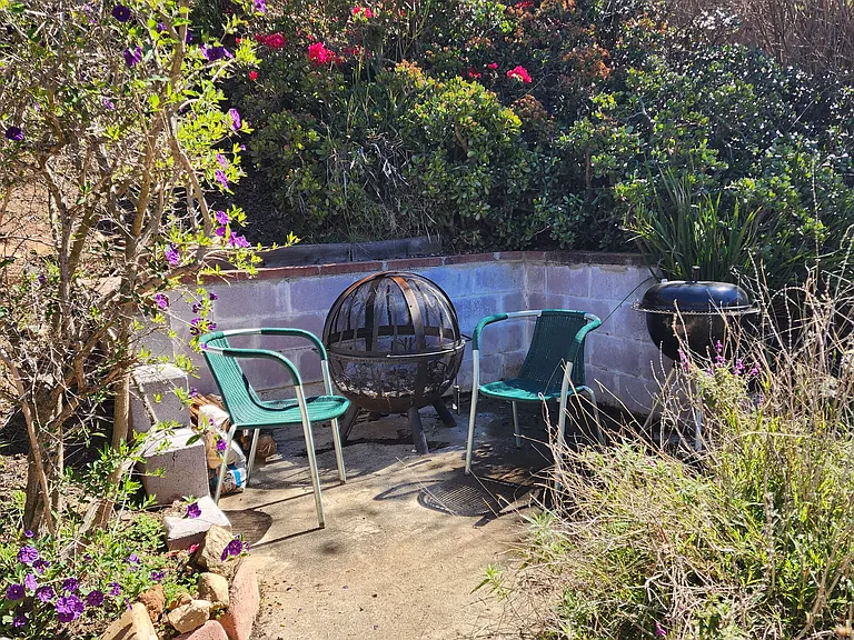 Fire pit / BBQ area