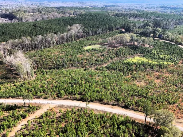 0 County Road 25, Banks, AL 36005