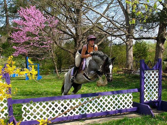 Equestrian activities