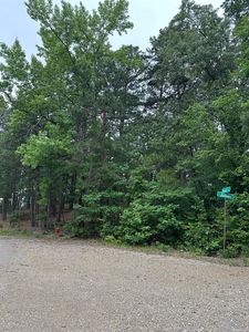 Julian St, Hot Springs National Park, AR, 71901