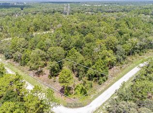Sooty Tern Ave, Weeki wachee, FL 34614