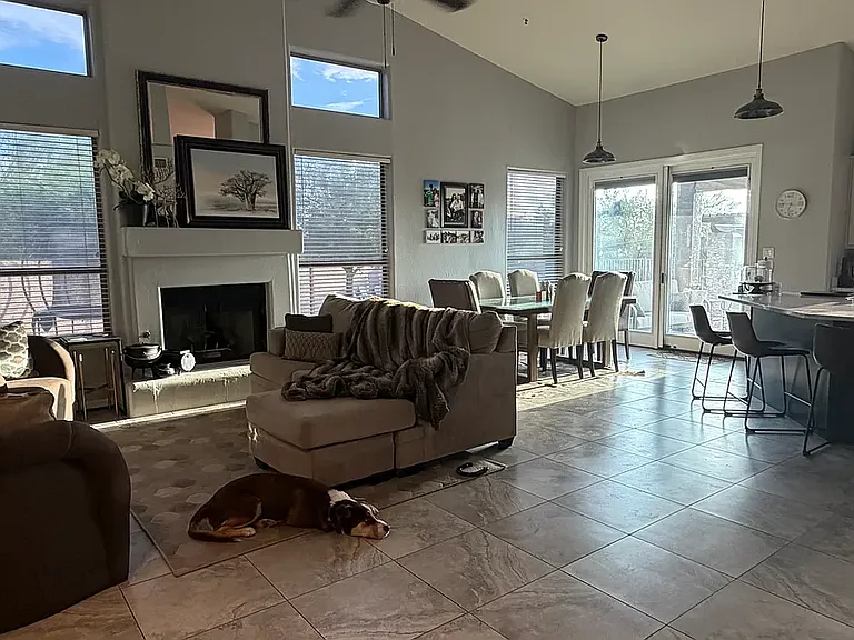 29446 N 67th Way — Photo 8