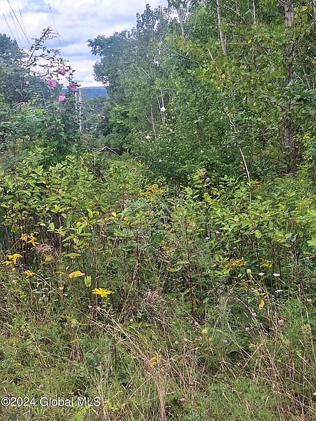 3rd image of L25.152 Palmer Road