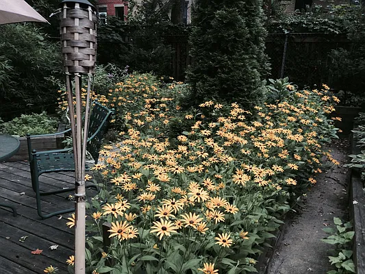 Rented by Owner | media 18