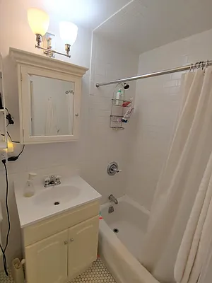 Rented by Halstead Real Estate | media 10