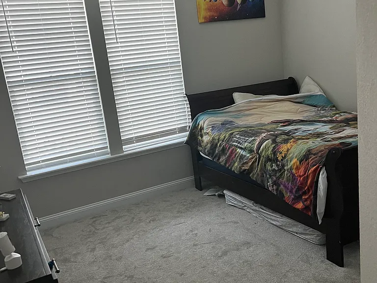 27 Holly Ridge Way — Photo 6