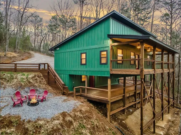 307 Ross Rd, Mineral Bluff, GA 30559