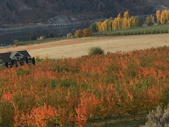 Fall colors