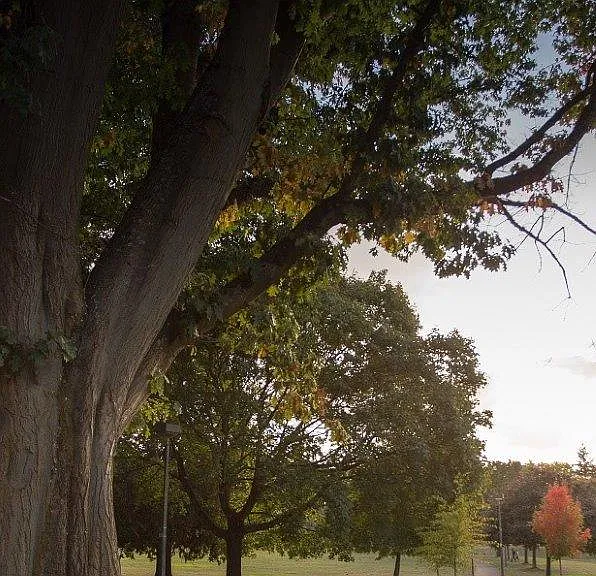 Kenton Commons — Photo 4
