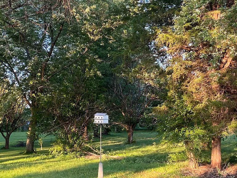 17506 Shady Nook Rd — Photo 10