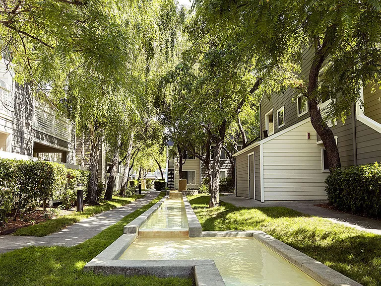 Timberleaf — Photo 18