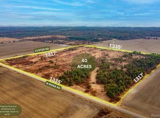 Vacant Land Custer Rd, Carsonville, MI 48419