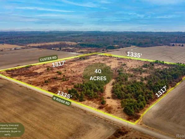 Vacant Land Custer Rd, Carsonville, MI 48419