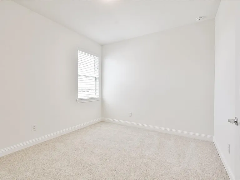 10818 Carolina Willow Ct — Photo 31