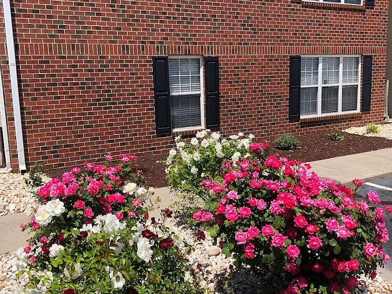 3683 Claypond Rd #C — Photo 65