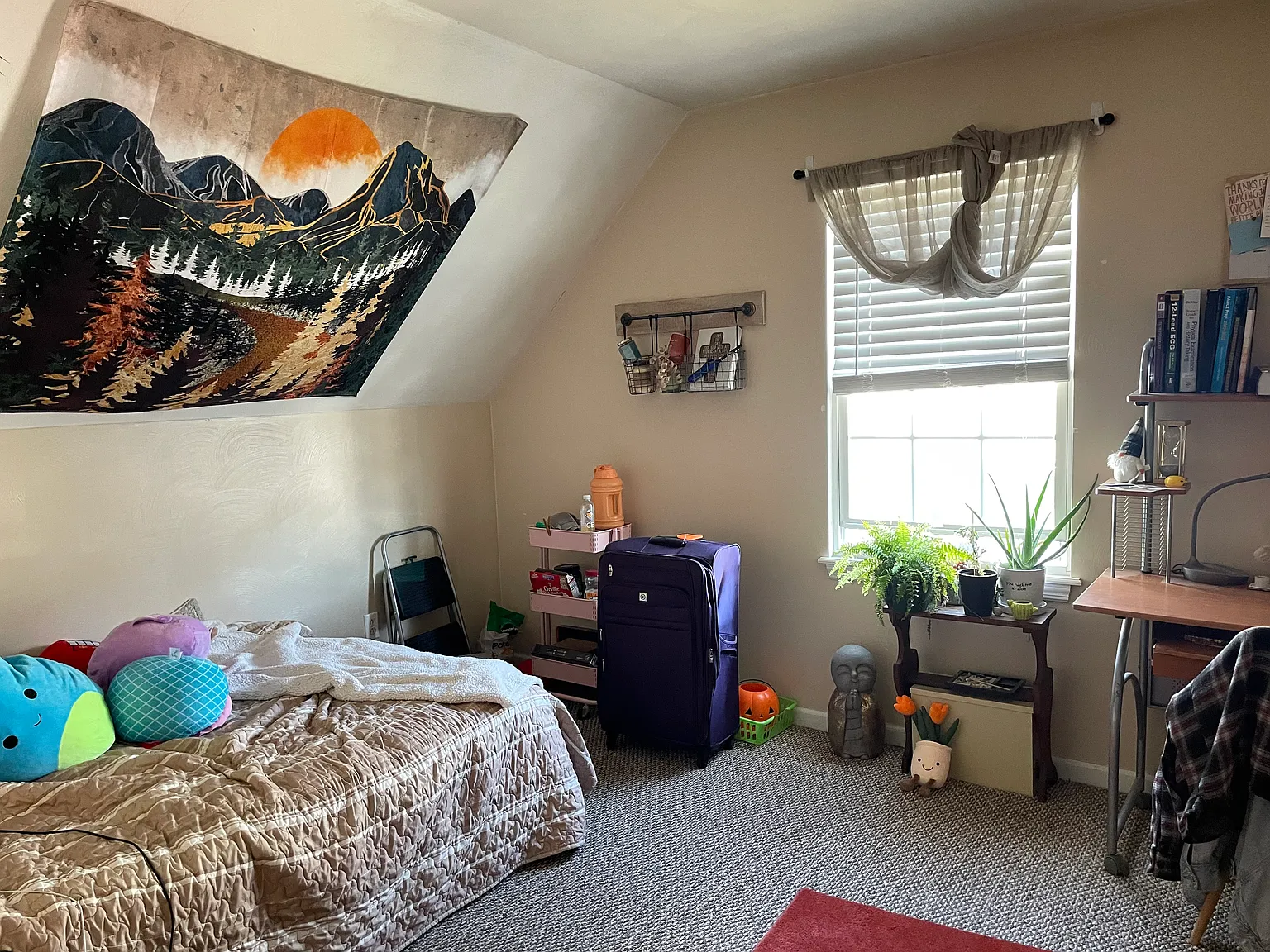 1 bed, $750 — Photo 2