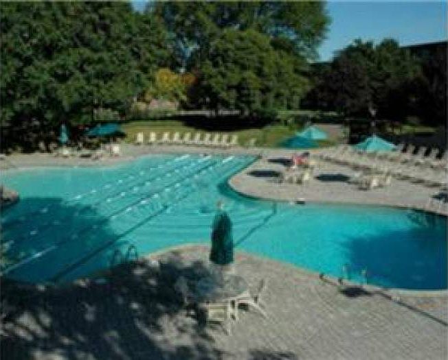Main Pool