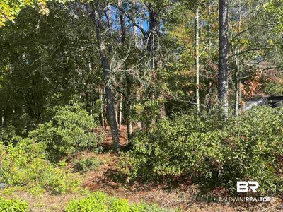 0 Bayou Cypress Dr, Coden, AL, 36523