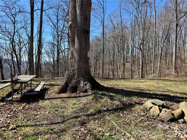 99999 N Fork Rd, Barnardsville, NC 28709