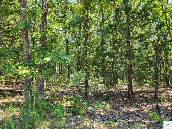 Trinchera Rd, Edwards, MO 65326