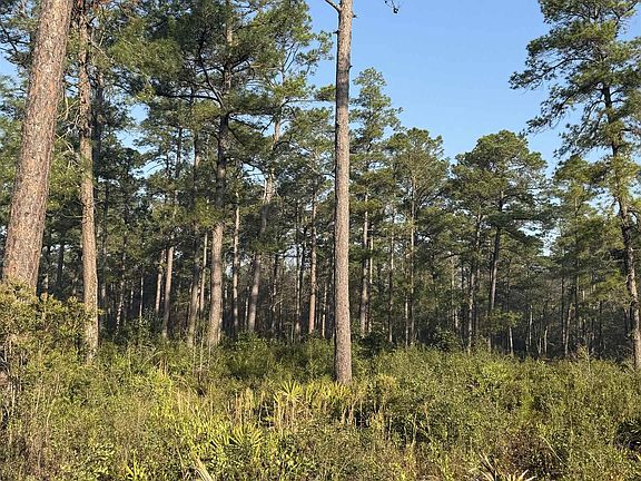 3rd image of LOT 81 Proctor Rd